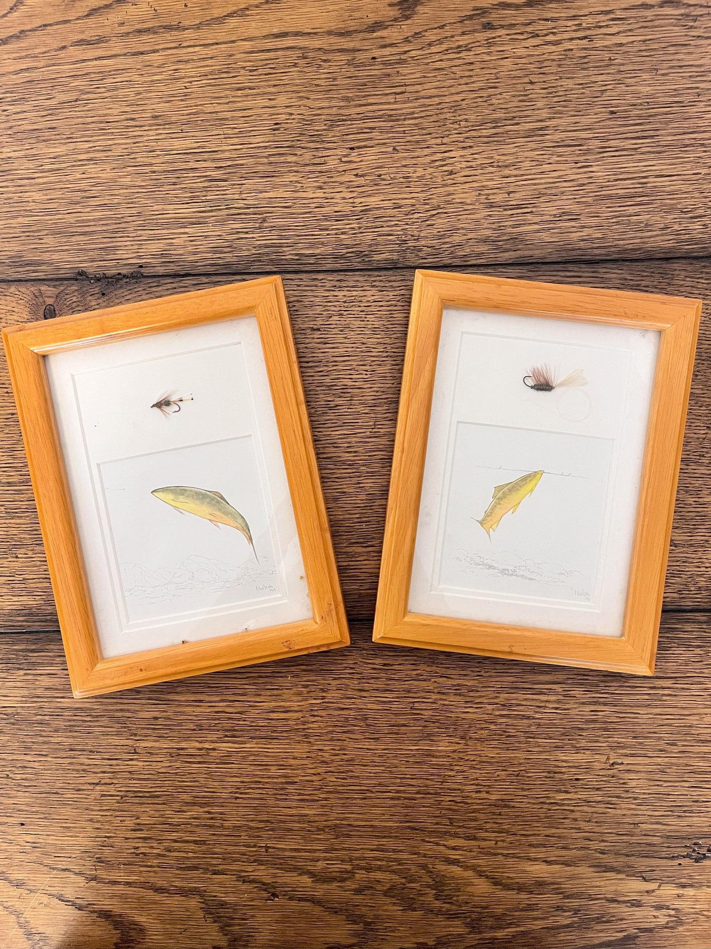 Framed Brook/Brown Flies by John Betts