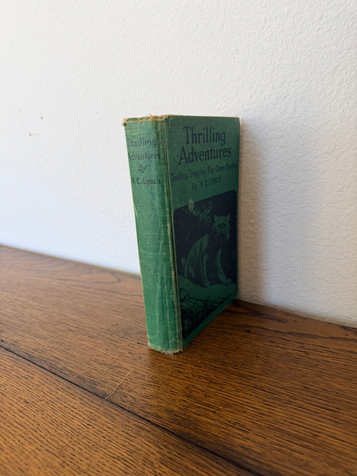 Thrilling Adventures by V. E. Lynch
