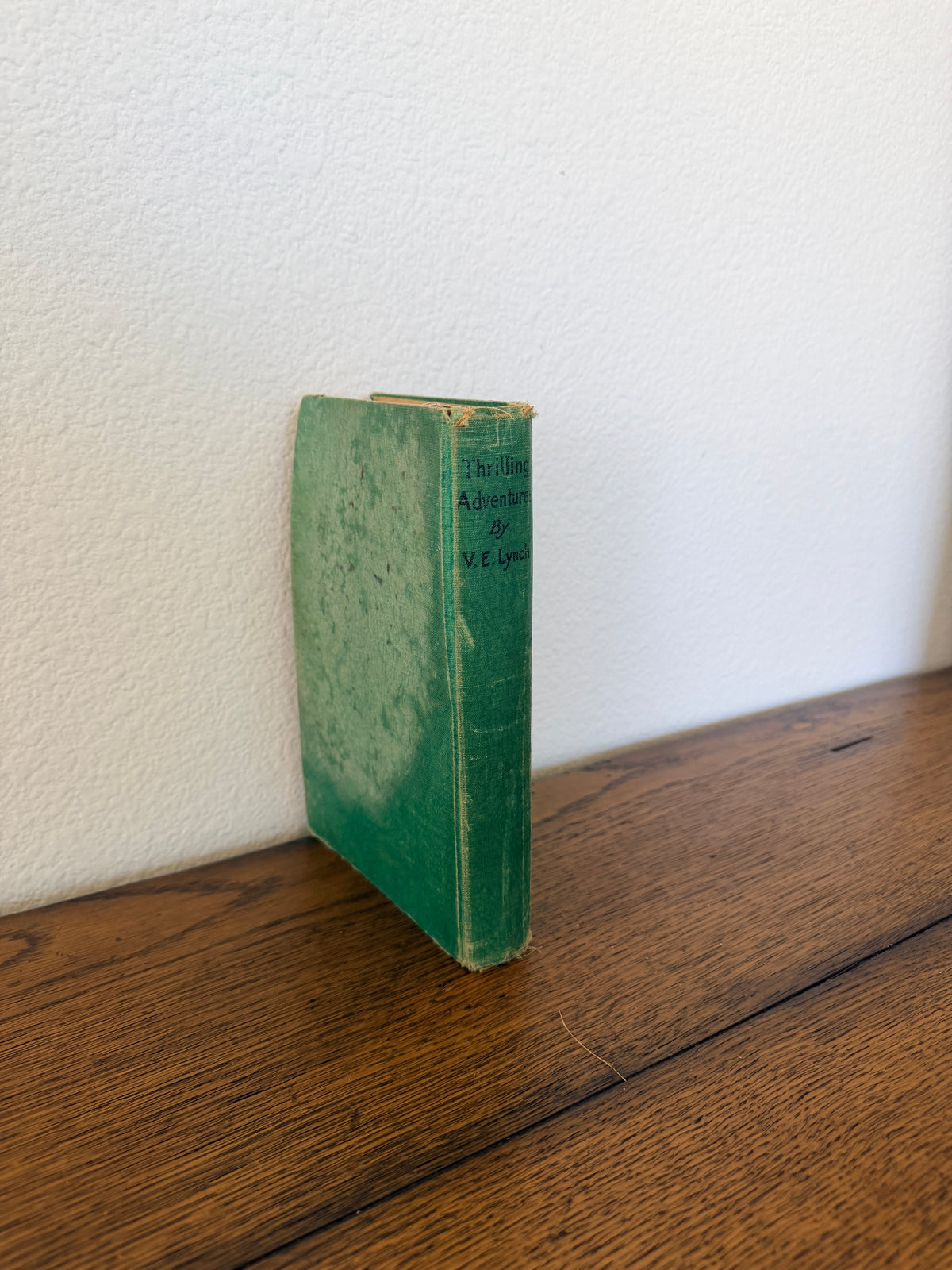 Thrilling Adventures by V. E. Lynch