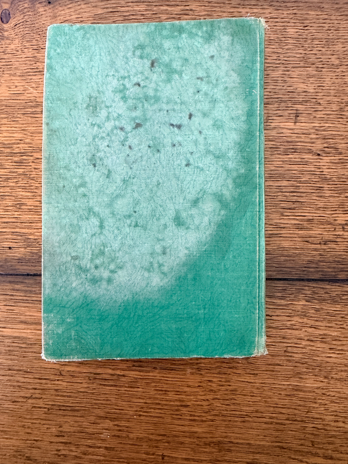 Thrilling Adventures by V. E. Lynch