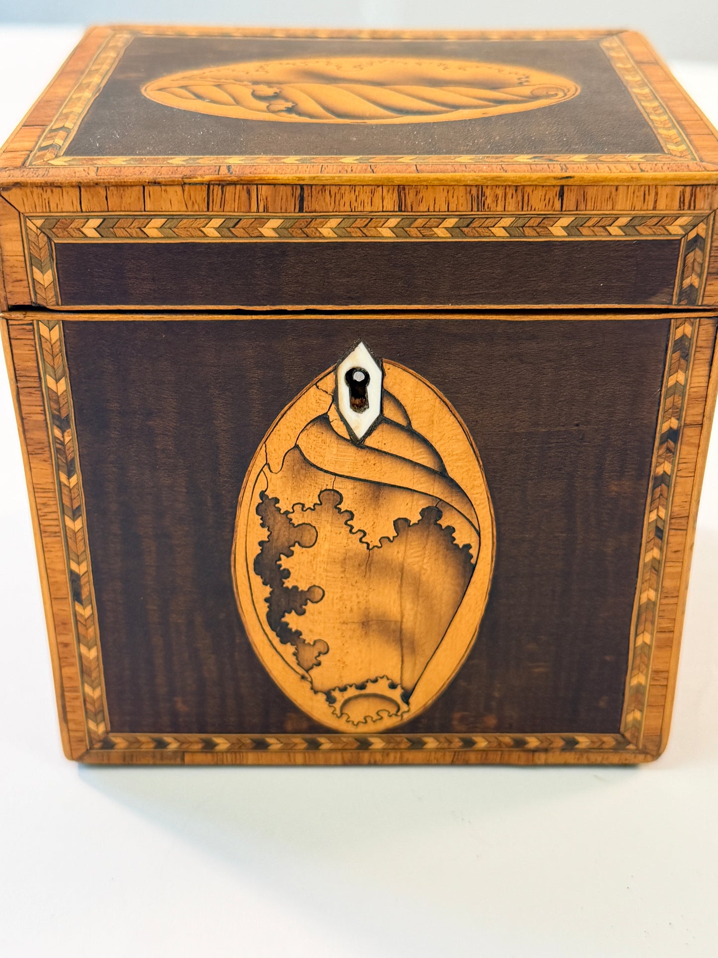 Antique Shell Tea Caddy