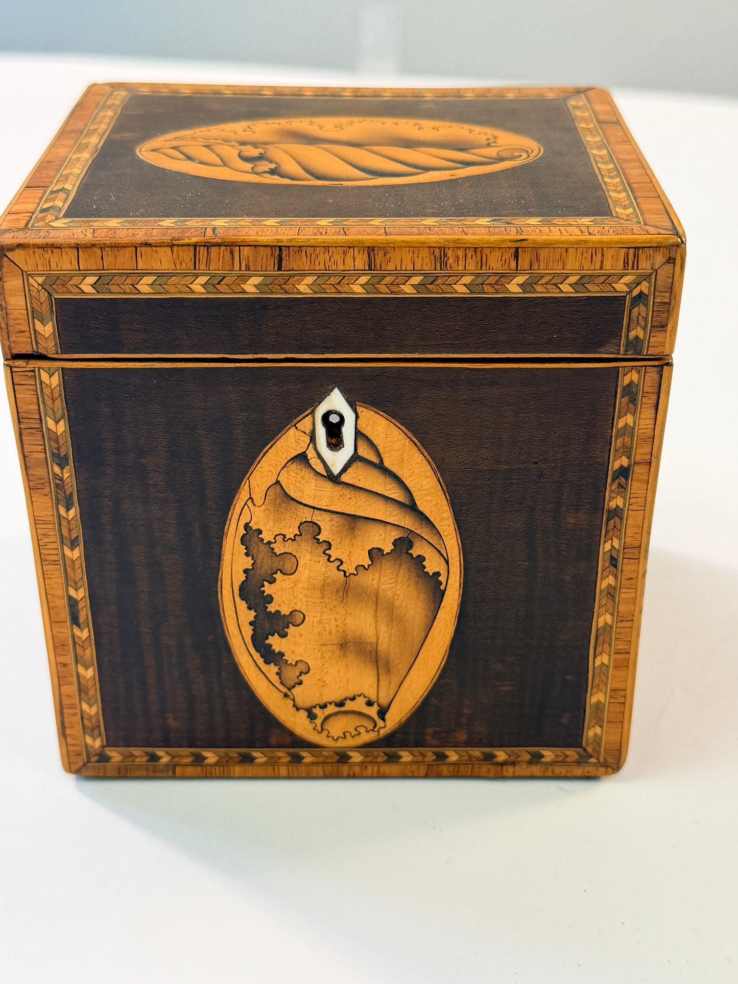 Antique Shell Tea Caddy