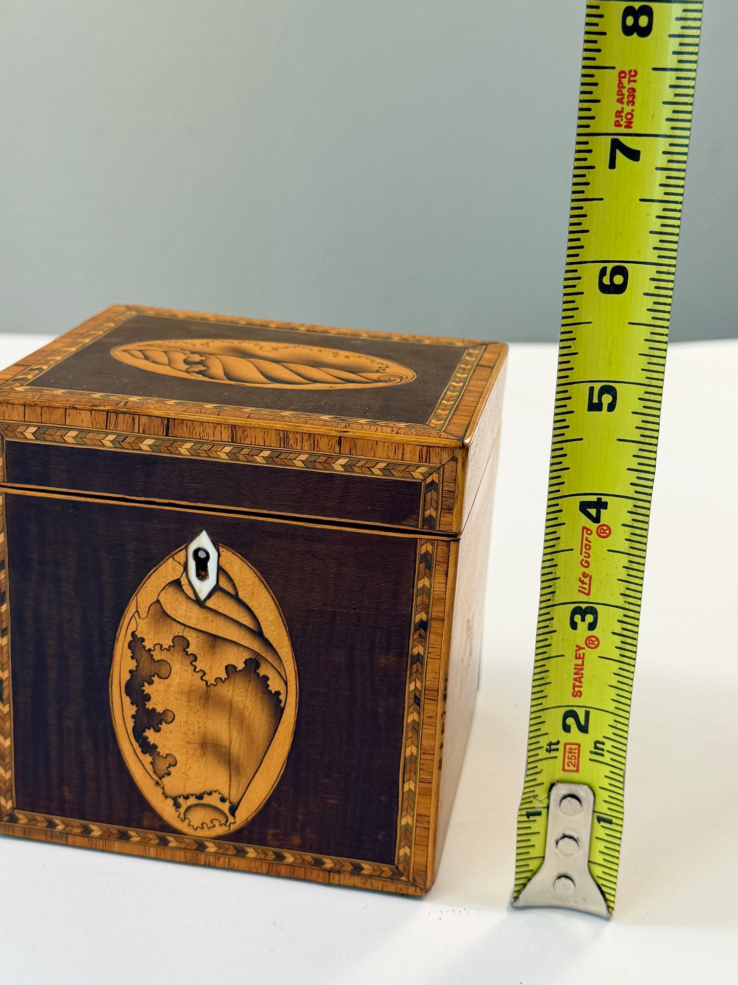 Antique Shell Tea Caddy