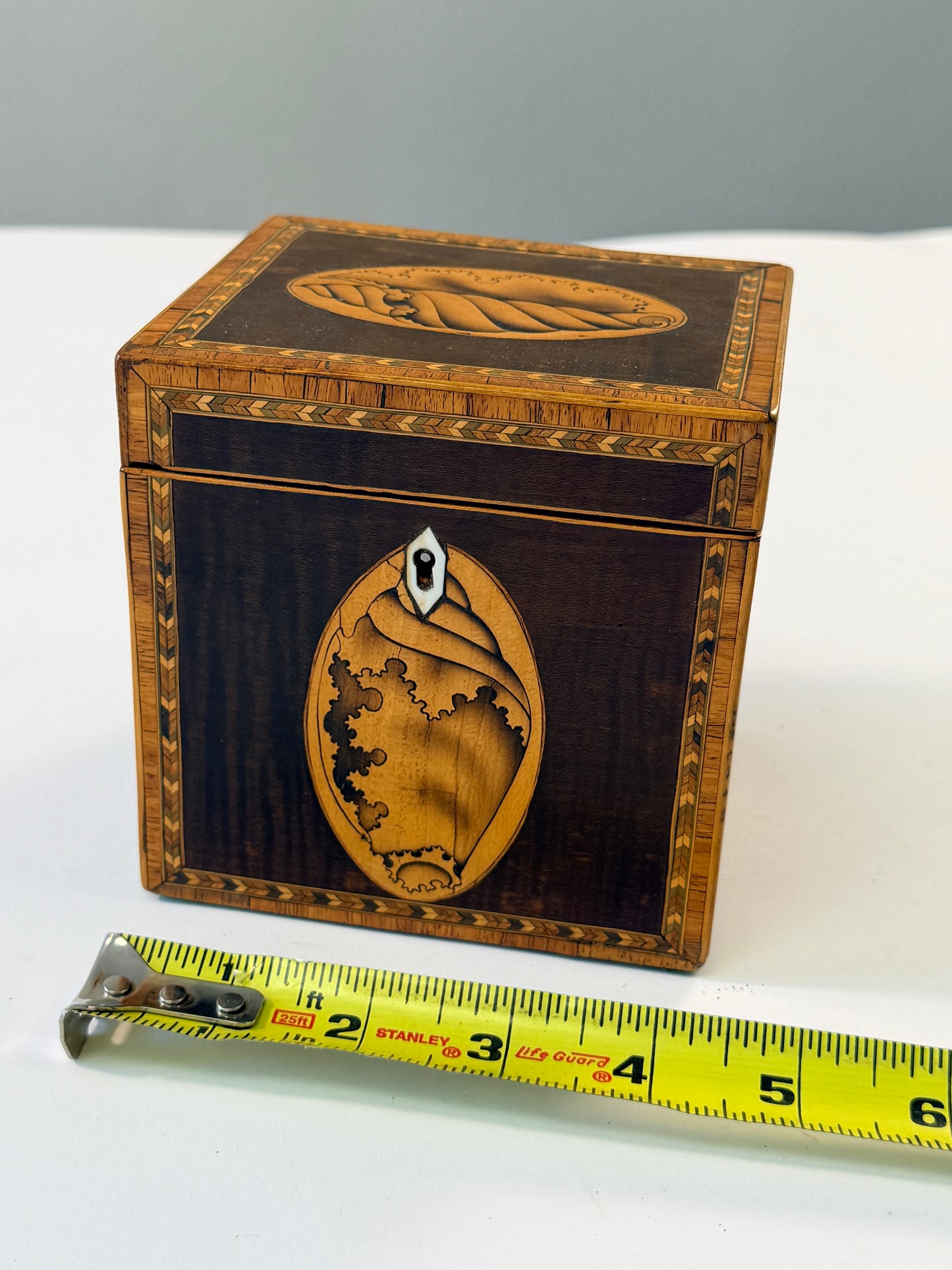 Antique Shell Tea Caddy