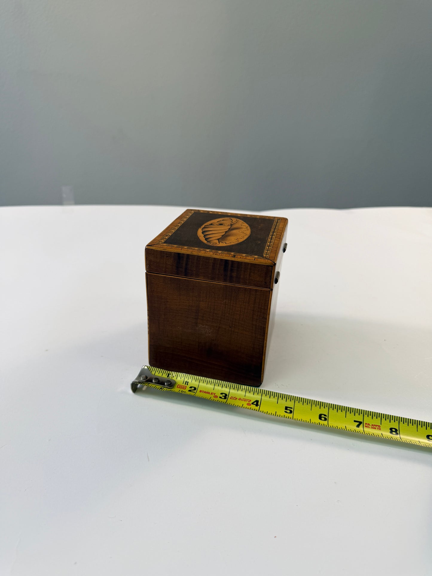 Antique Shell Tea Caddy