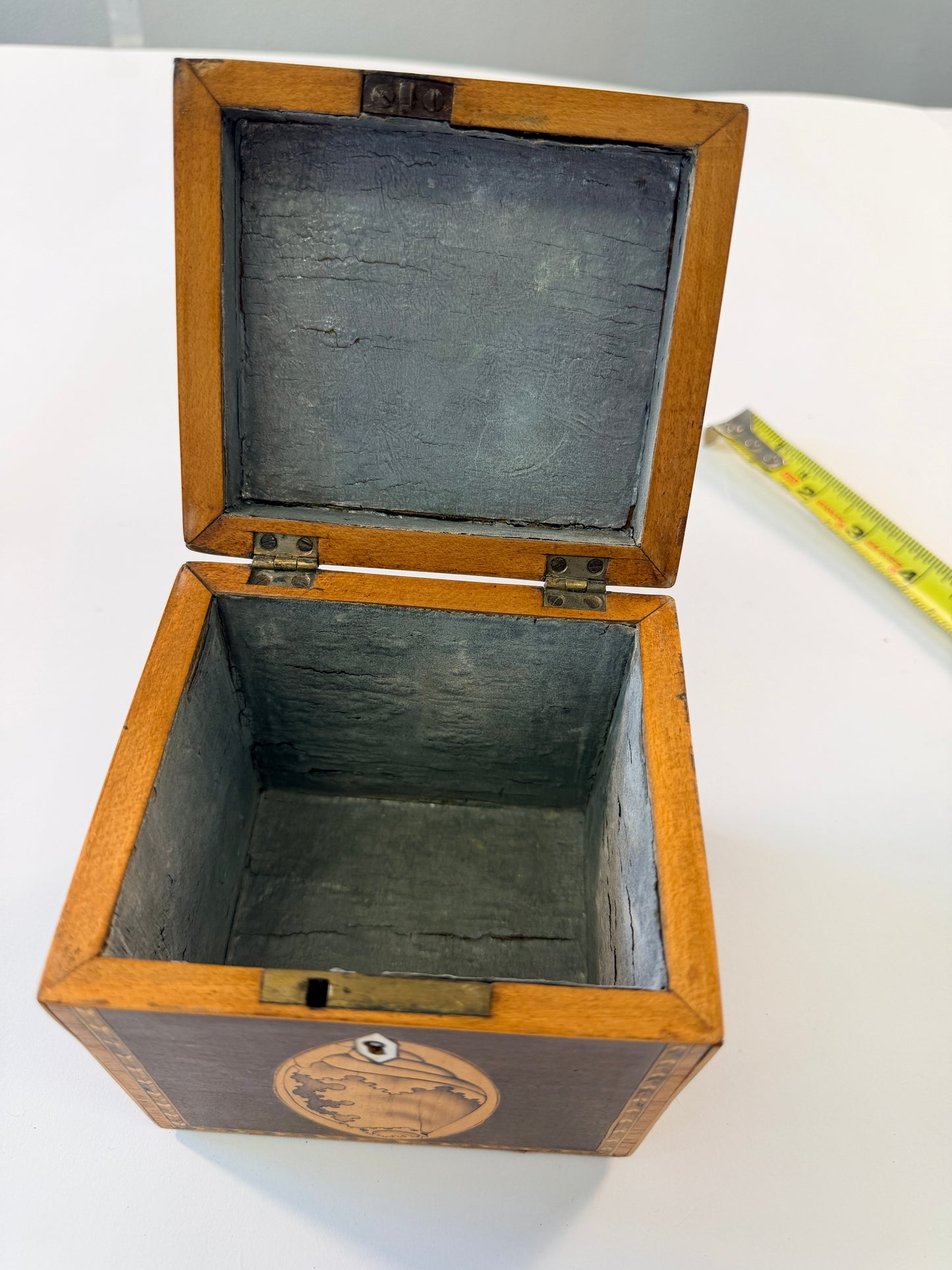 Antique Shell Tea Caddy