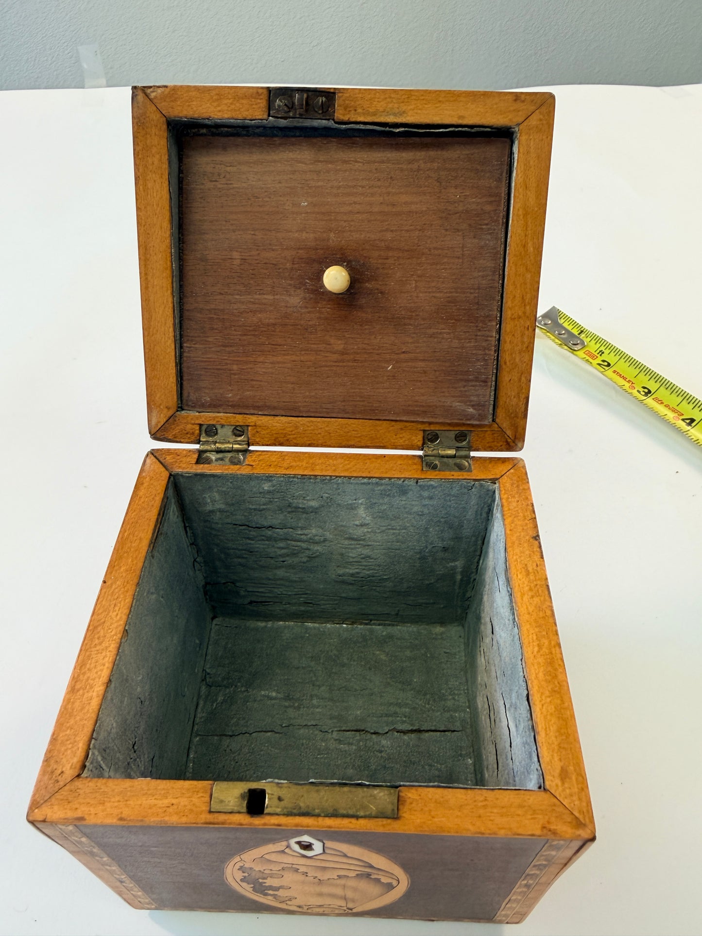 Antique Shell Tea Caddy