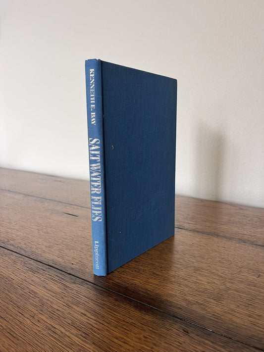 Saltwater Flies by Kenneth E. Bay