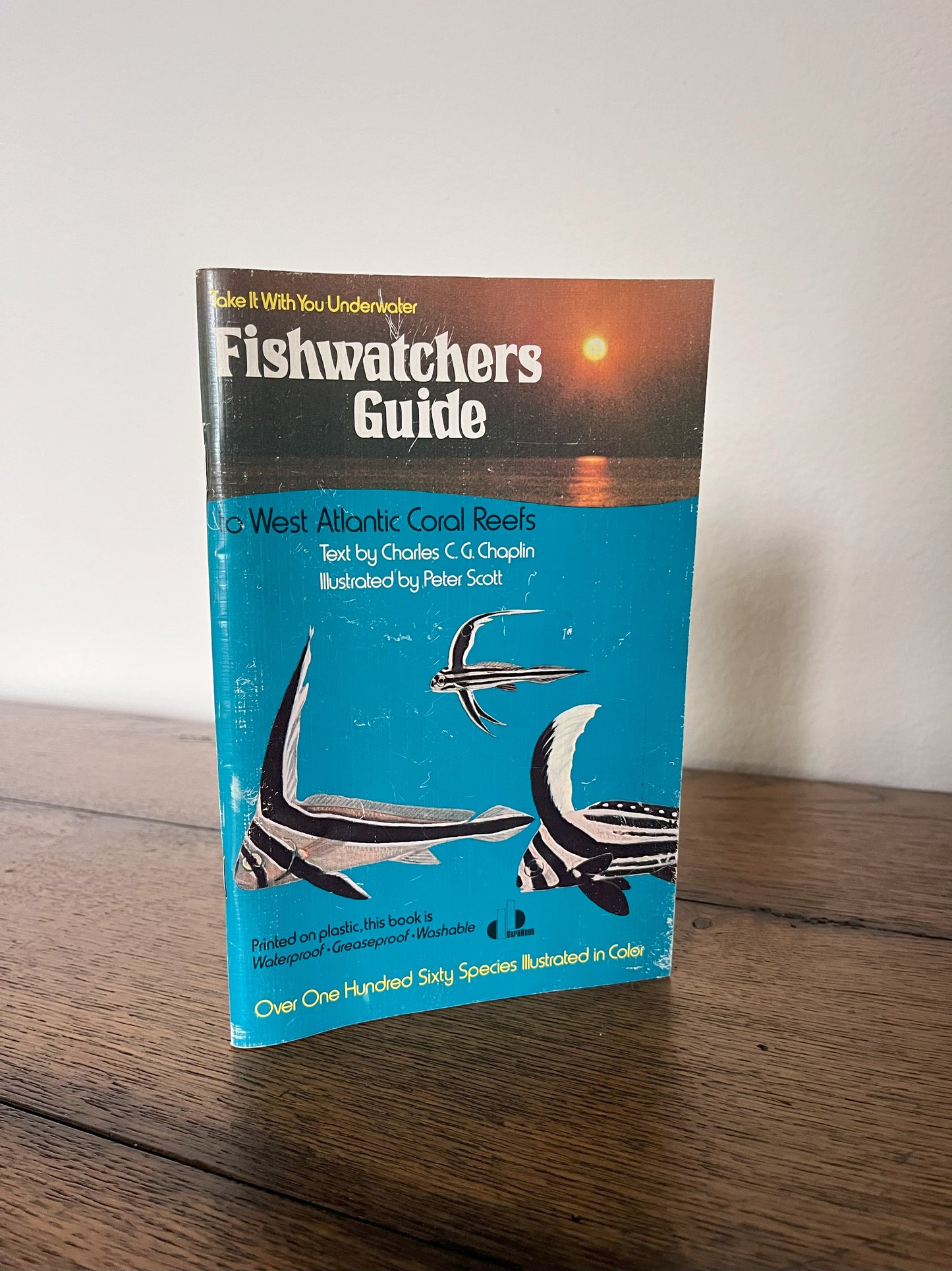 Fishwatchers Guide to West Atlantic Coral Reefs by Charles C.G. Chaplin