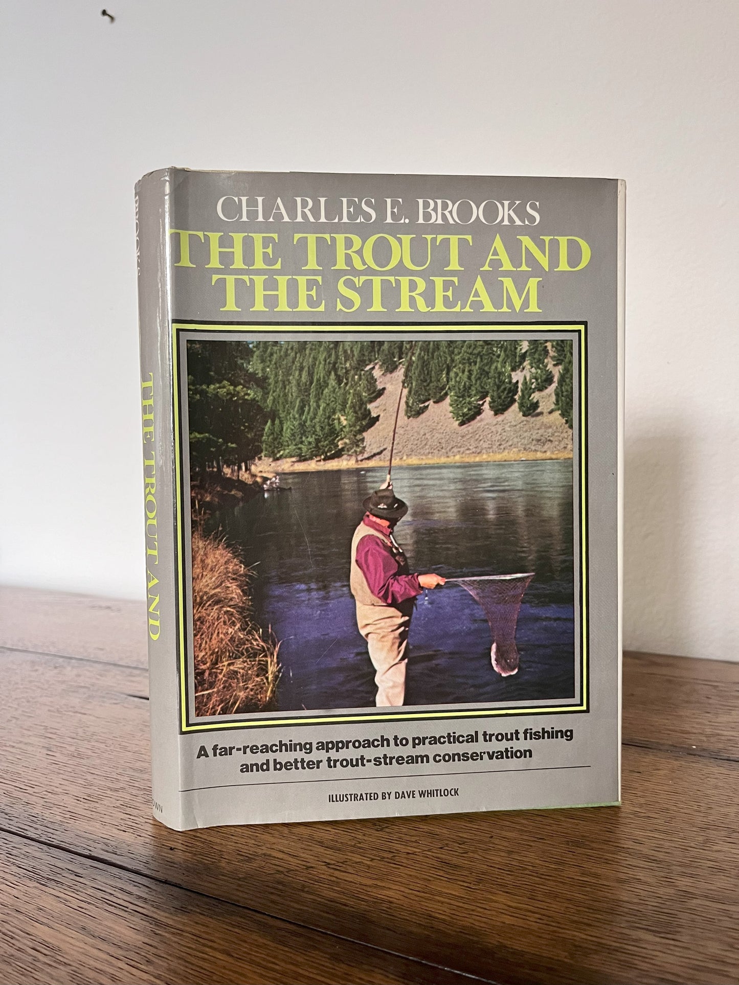 The Trout and The Stream by Charles E. Brooks