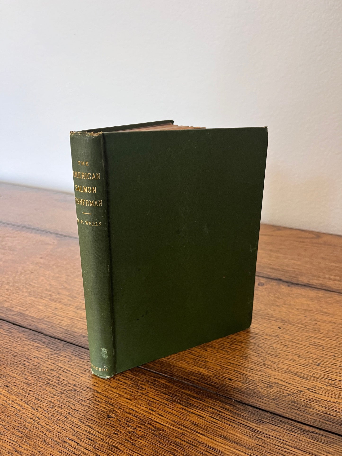 The American Salmon Fisherman by Henry P Wells