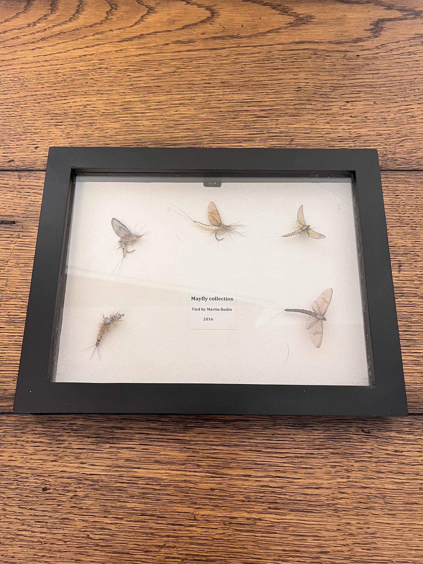 Framed Mayfly Collection tied by Martin Rudin
