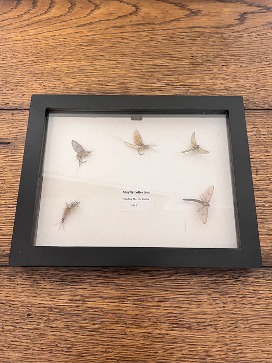 Framed Mayfly Collection tied by Martin Rudin