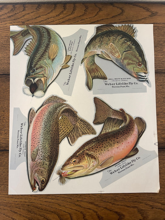 Weber Lifelike Fly Co. Prints