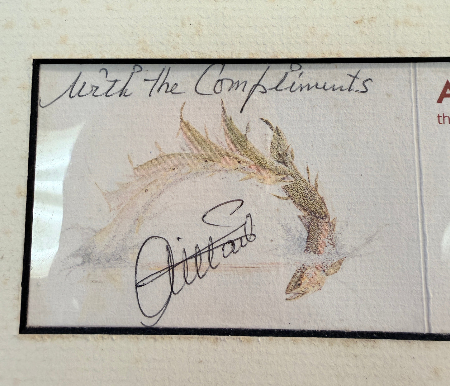 Ari'T Hart Framed Photo and Autograph with Flies by Don Leyden