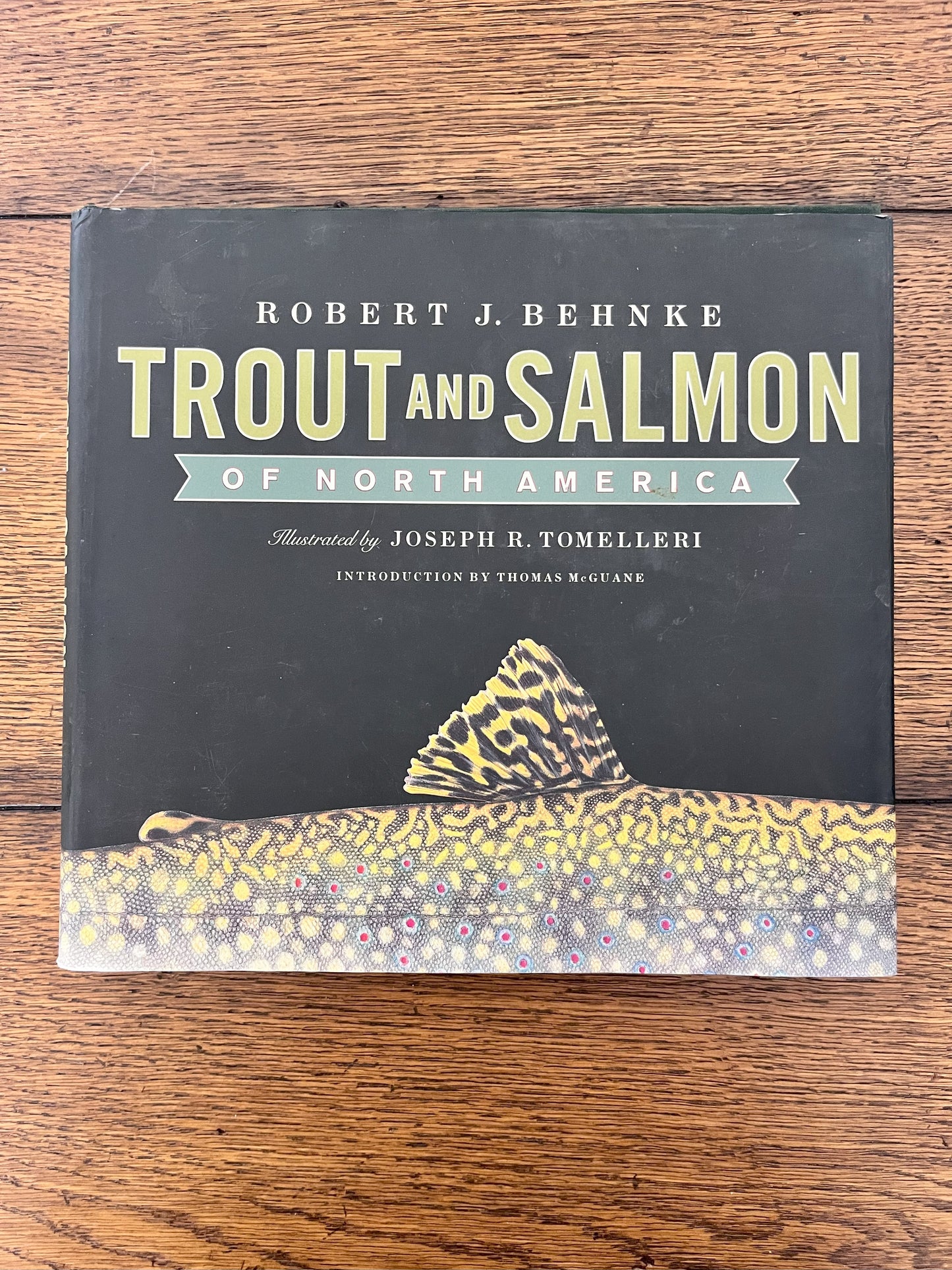 Trout and Salmon of North America by Robert J Behnke
