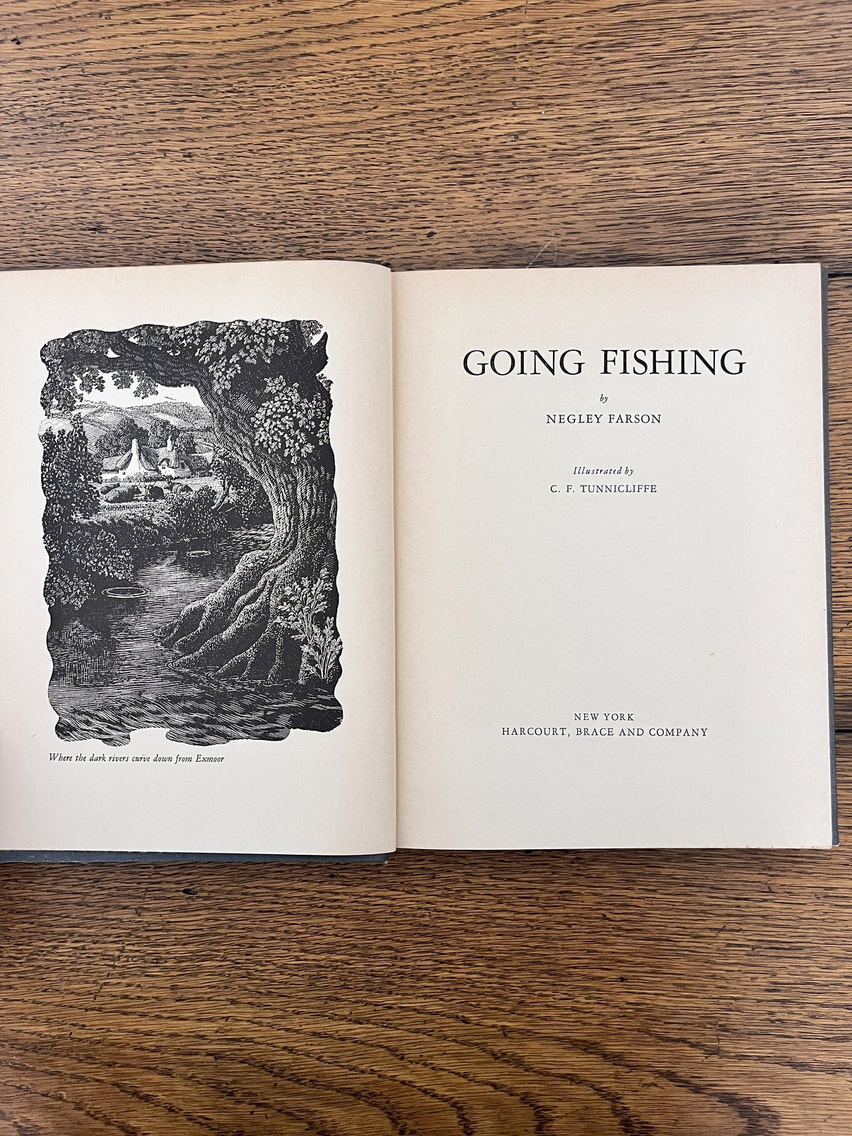 Going Fishing by Negley Farson