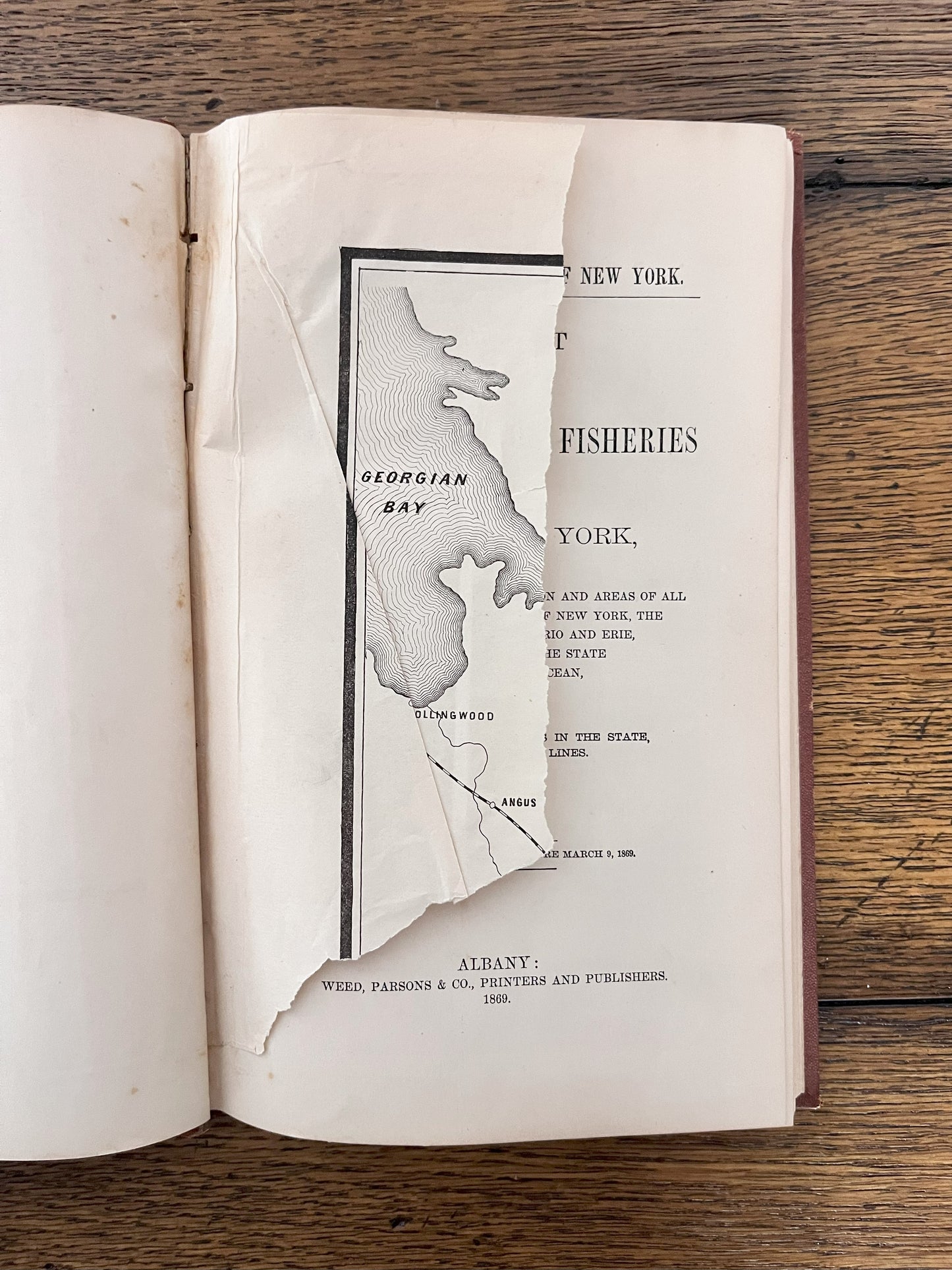 Report of the Commissioners of Fisheries of the State of New York 1869