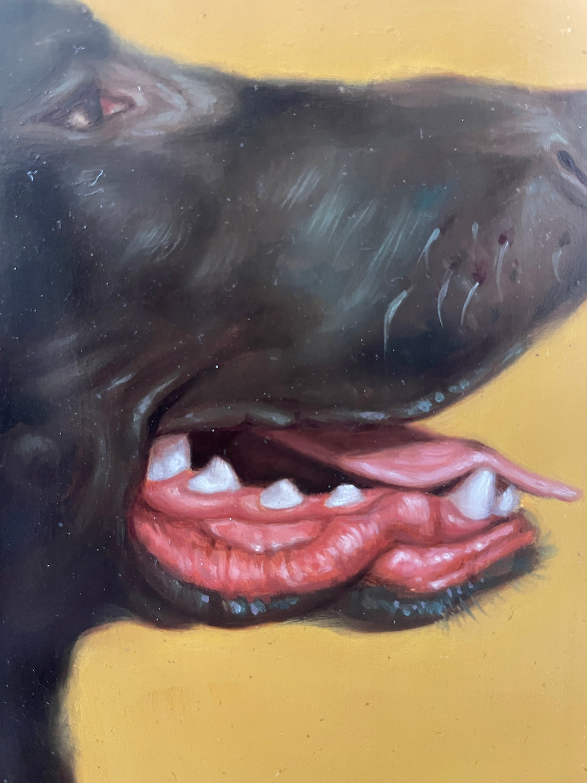 Gold Dog Painting -- Douglas, Lator Galleries