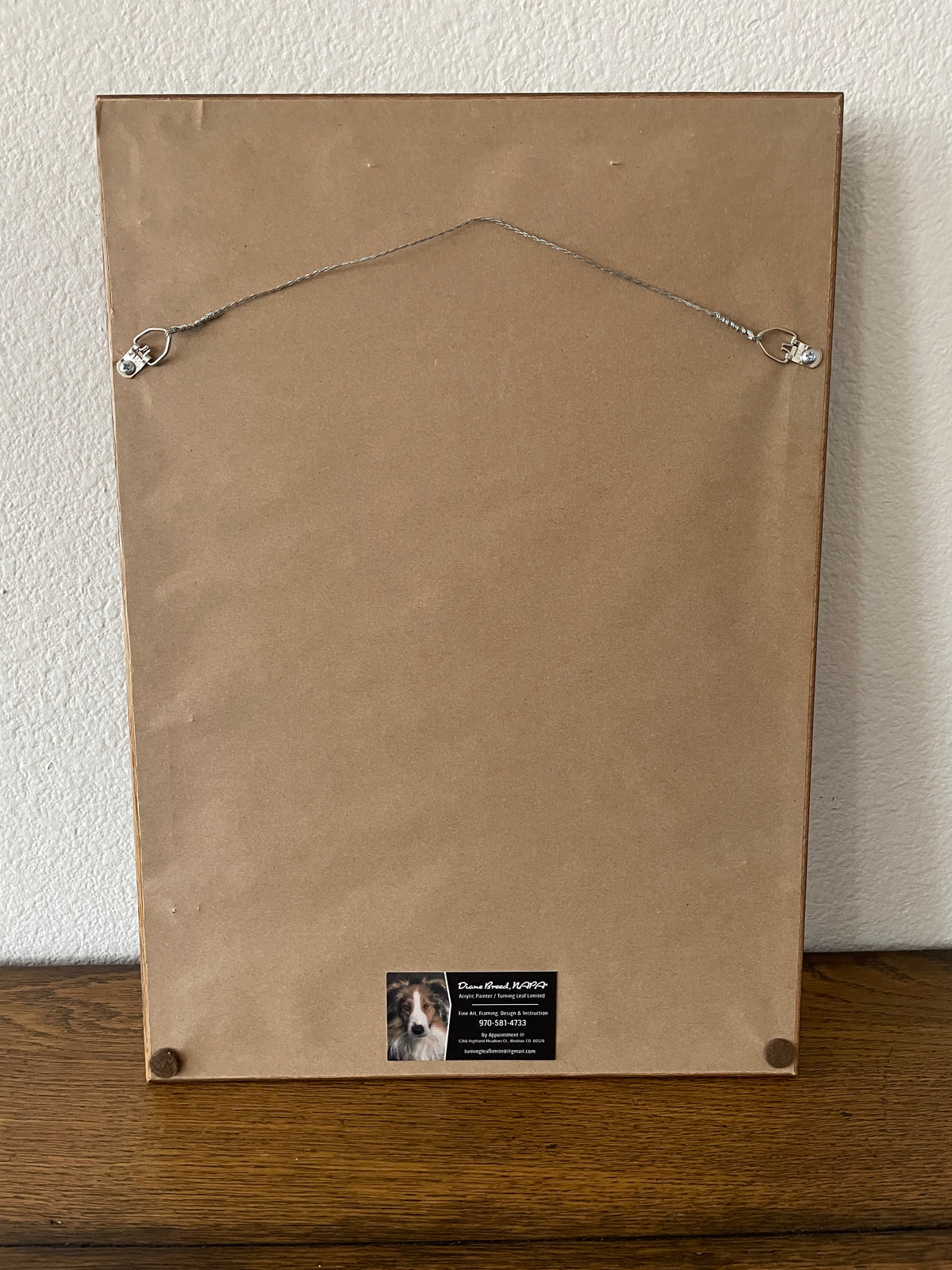 Native American Nymphs & Flies Frame