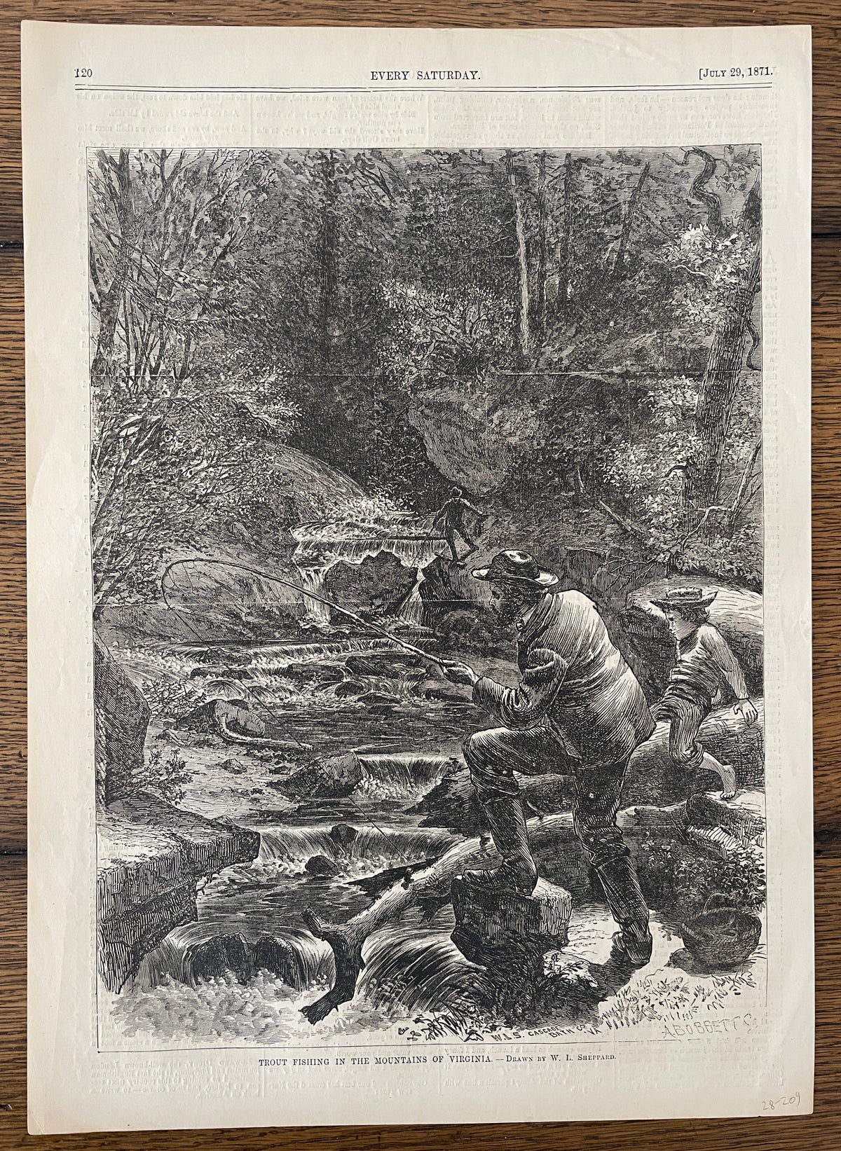 Trout Fishing in the Mountains of Virginia by W L Sheppard