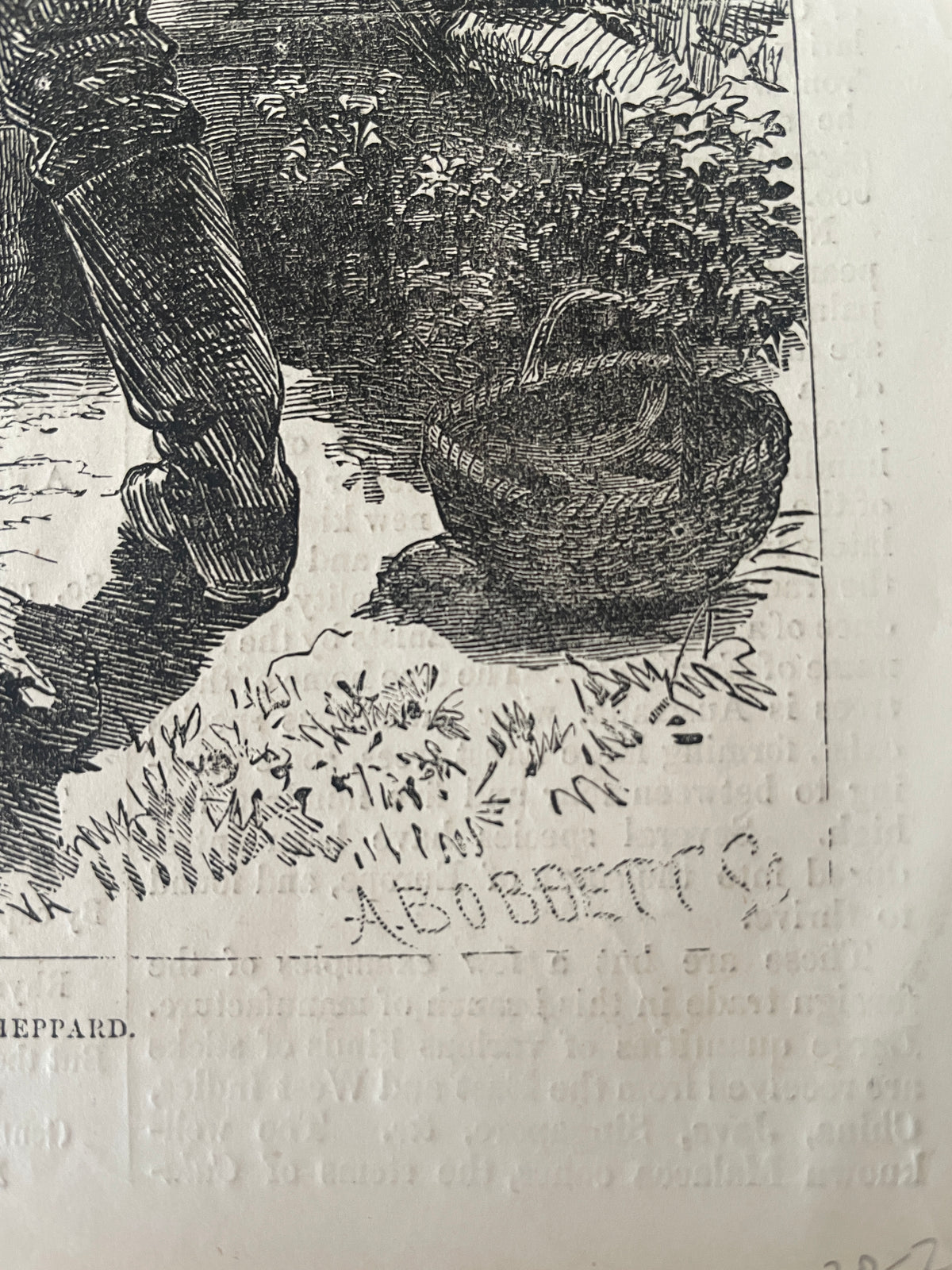 Trout Fishing in the Mountains of Virginia by W L Sheppard