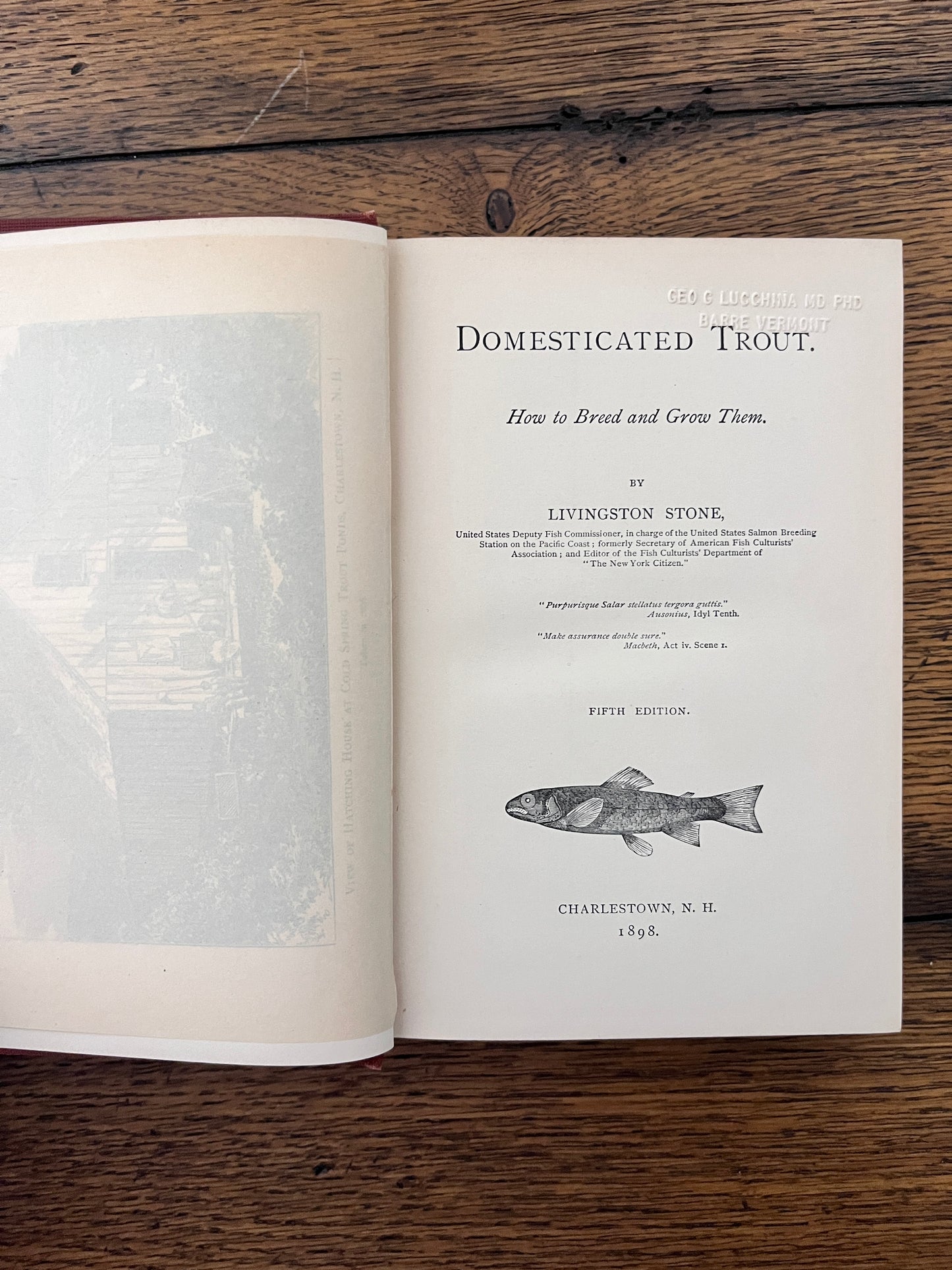Domesticated Trout by Livingston Stone